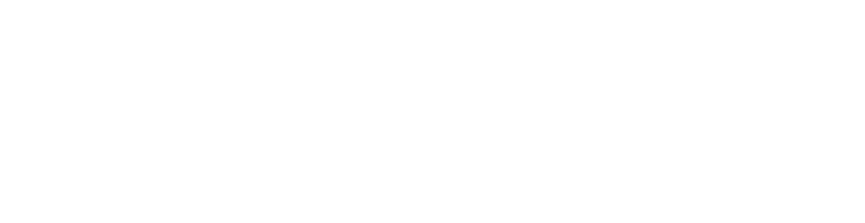 RAGIE